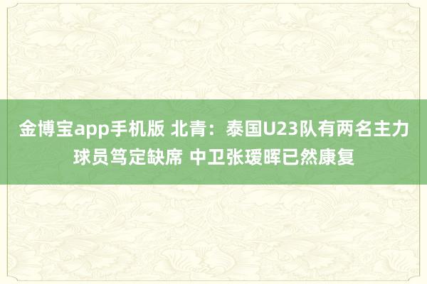 金博宝app手机版 北青：泰国U23队有两名主力球员笃定缺席 中卫张瑷晖已然康复
