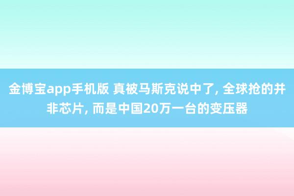 金博宝app手机版 真被马斯克说中了， 全球抢的并非芯片， 而是中国20万一台的变压器
