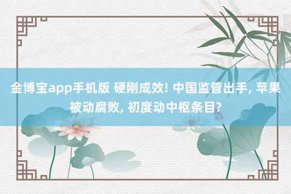 金博宝app手机版 硬刚成效! 中国监管出手， 苹果被动腐败， 初度动中枢条目?