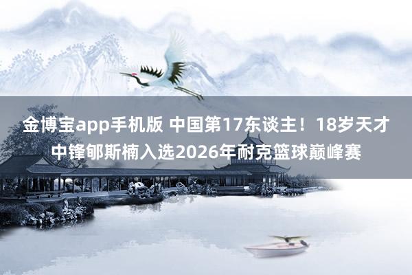 金博宝app手机版 中国第17东谈主！18岁天才中锋郇斯楠入选2026年耐克篮球巅峰赛