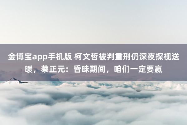 金博宝app手机版 柯文哲被判重刑仍深夜探视送暖，蔡正元：昏昧期间，咱们一定要赢