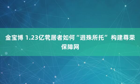 金宝博 1.23亿茕居者如何“迥殊所托” 构建尊荣保障网