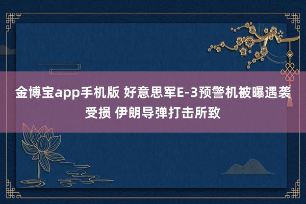 金博宝app手机版 好意思军E-3预警机被曝遇袭受损 伊朗导弹打击所致