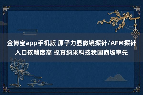 金博宝app手机版 原子力显微镜探针/AFM探针入口依赖度高 探真纳米科技我国商场率先