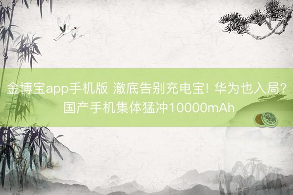 金博宝app手机版 澈底告别充电宝! 华为也入局? 国产手机集体猛冲10000mAh