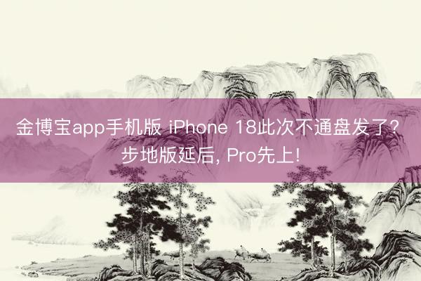 金博宝app手机版 iPhone 18此次不通盘发了? 步地版延后， Pro先上!