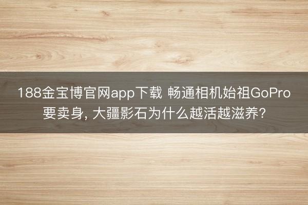 188金宝博官网app下载 畅通相机始祖GoPro要卖身， 大疆影石为什么越活越滋养?