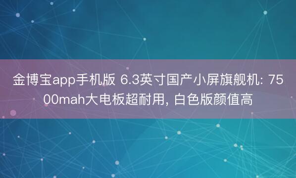 金博宝app手机版 6.3英寸国产小屏旗舰机: 7500mah大电板超耐用， 白色版颜值高