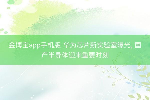 金博宝app手机版 华为芯片新实验室曝光， 国产半导体迎来重要时刻