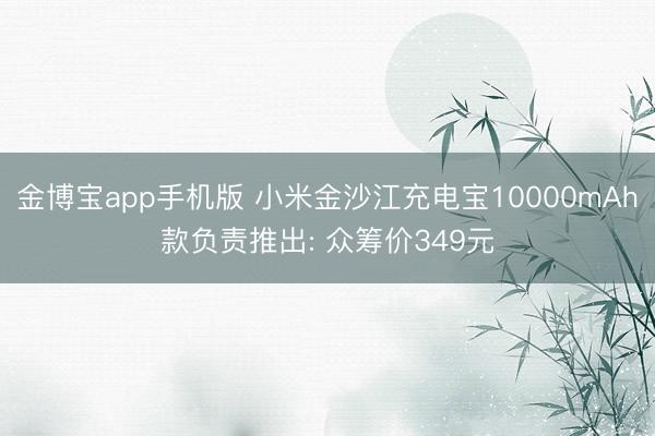 金博宝app手机版 小米金沙江充电宝10000mAh款负责推出: 众筹价349元