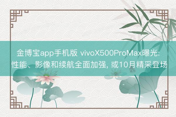 金博宝app手机版 vivoX500ProMax曝光: 性能、影像和续航全面加强, 或10月精采登场