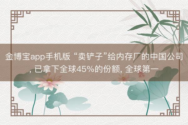 金博宝app手机版 “卖铲子”给内存厂的中国公司， 已拿下全球45%的份额， 全球第一