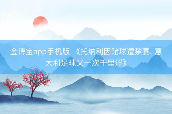 金博宝app手机版 《托纳利因赌球遭禁赛， 意大利足球又一次千里浮》
