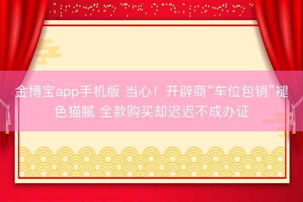 金博宝app手机版 当心!开辟商“车位包销”褪色猫腻 全款购买却迟迟不成办证