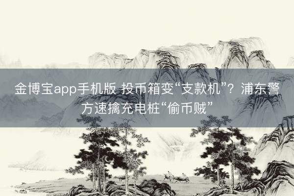 金博宝app手机版 投币箱变“支款机”?浦东警方速擒充电桩“偷币贼”