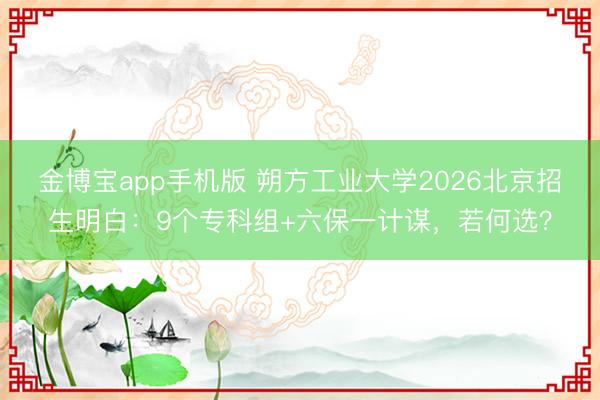 金博宝app手机版 朔方工业大学2026北京招生明白：9个专科组+六保一计谋，若何选？