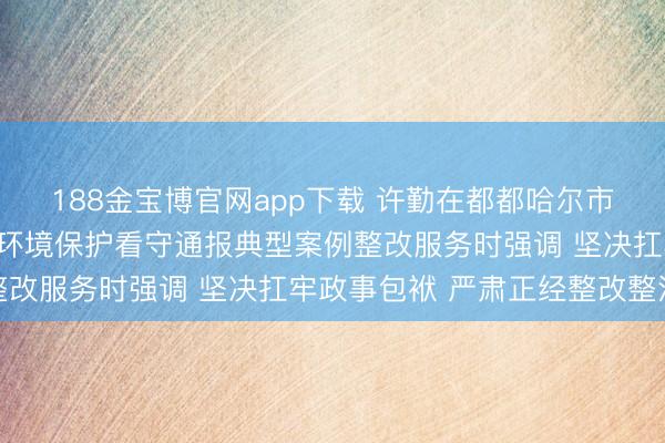 188金宝博官网app下载 许勤在都都哈尔市现场督查督导中央生态环境保护看守通报典型案例整改服务时强调 坚决扛牢政事包袱 严肃正经整改整治
